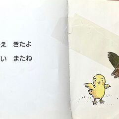 0〜2歳向け 絵本 24冊セット（だるまさん・しまじろう他）の画像
