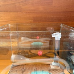 30センチ水槽フルセットの画像