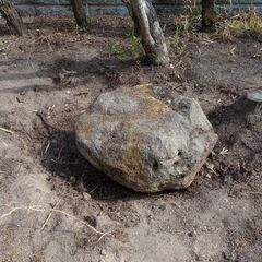 無料　庭石　差し上げますの画像