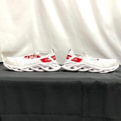 Z-DRAGON　靴　28cmの画像