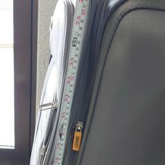 Lucasスーツケース差し上げますの画像