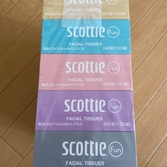 ティッシュ5箱②の画像