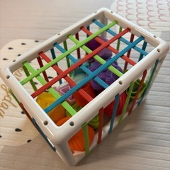 Hape Beech blocks 50個 積み木の画像