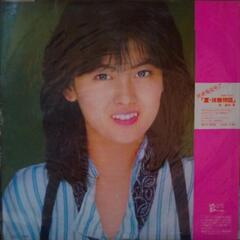 中山美穂　全10曲　LPレコードの画像