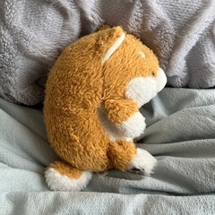 【美品】ふんばるず(Regular) シバイヌの画像