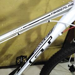 ★お取引成立★GT🇺🇸MTBカスタム 29インチディスクブレーキ 165cm～ 24段変速 前後タイヤ🆕 極上車 配達可の画像