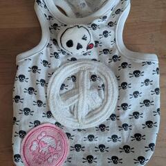犬　洋服小型犬の画像