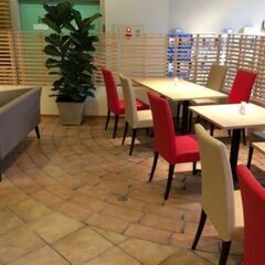 10月4日(土)14：00 -*女性限定*≪Café会主催者≫募...