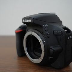 Nikon D5600 標準ズーム・純正バッテリー2個セットの画像