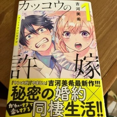 漫画本の画像