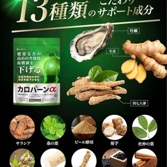 【新品】高めの 血糖値 血圧 Wサポート カロバーンα 30日分 サプリの画像