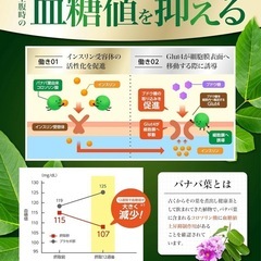 【新品】高めの 血糖値 血圧 Wサポート カロバーンα 30日分 サプリの画像