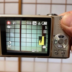 LUMIX DMC-F35の画像