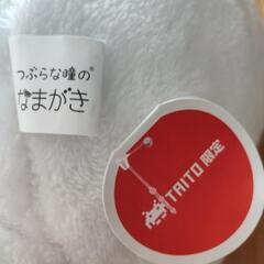 つぶらな瞳のなまがきおくるみすーぱーぴっぐの画像