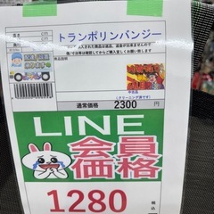 🉐LINE会員限定スペシャル価格🉐【トランポリンバンジー】　1280円　27ー74の画像