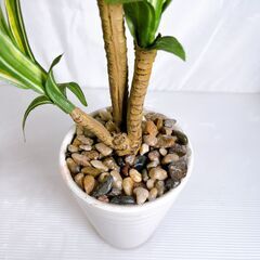 観葉植物 フェイクグリーン まとめの画像
