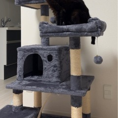 キャットタワーの画像