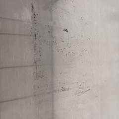 ニトリ　ステンレス　洗濯機ラックの画像
