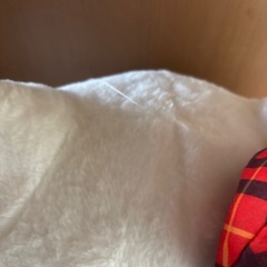 55、サンリオ　ハローキティの画像
