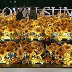 35～55才 東京散歩♪ ～1人参加～【六本木】💖