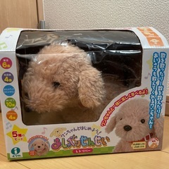 おしゃべりせんせい　レトリバー
の画像