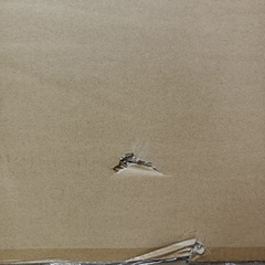  未使用保管品！ フィットネスマシン コアラウンジ ウルトラ の画像