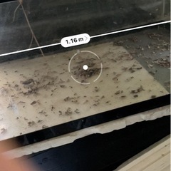 大きい水槽の画像