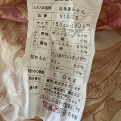 日曜日15時　ニトリカバー付　羽毛2の画像