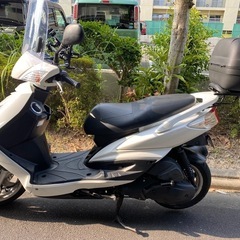 シグナスx se44j
の画像