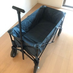 コールマン  バギー　限定カラーの画像