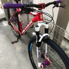 TREK GARYFISHER 29インチフルカスタムの画像