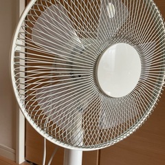 【無料】扇風機　美品　ニトリ　タイマー付きの画像