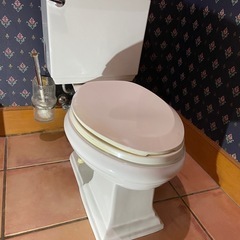 コーラー(kohler)社のトイレの画像