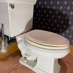 コーラー(kohler)社のトイレの画像