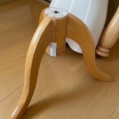 終了　トルソー　ボディ　中古の画像