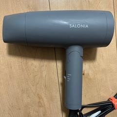 SALONIA  スピーディーイオンドライヤーの画像