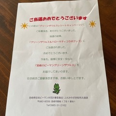ハローキティ＆グリーンザウルス　タオルとエコバッグセット　非売品　懸賞品の画像
