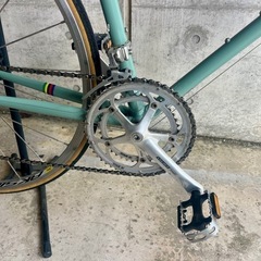 BIANCHI SELVINO 55サイズの画像