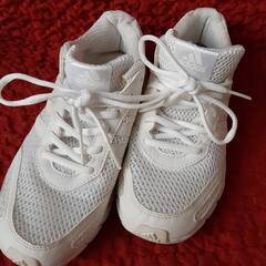 adidas 24cmの画像