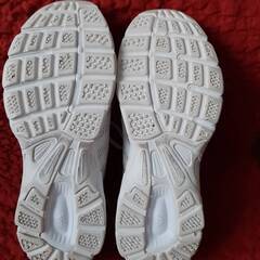 adidas 24cmの画像