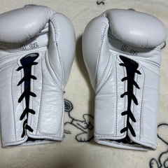 グローブ キックボクシング②の画像