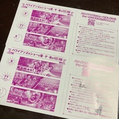 ハワイアンズ入場券2枚の画像