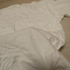 【本日限定】霜降り明星　粗品バンド　Tシャツ　Lサイズの画像