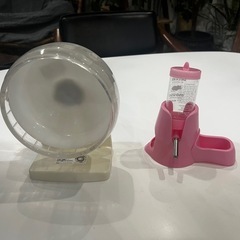 ハムスタークリアゲージの画像