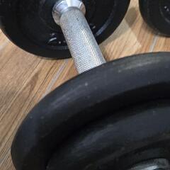 ダンベル 筋トレの画像