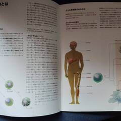 幹細胞ハンドブック CIRA　IPS細胞 研究所　20年ぐらい前　iPS細胞が世間に発表されたころのもの　レアの画像