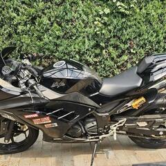 Ninja250の画像