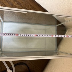 水槽 ポンプ付き（フィルターなし） オマケで手動ポンプ付き）
の画像