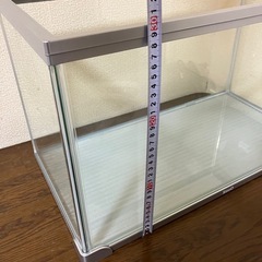 水槽 ポンプ付き（フィルターなし） オマケで手動ポンプ付き）
の画像
