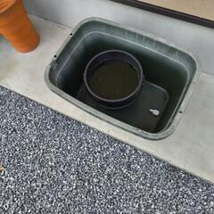 容器　の画像